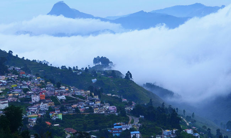 'Kodaikanal Has Become Concrete Jungle' : Madras HC Cracks Whip On ...