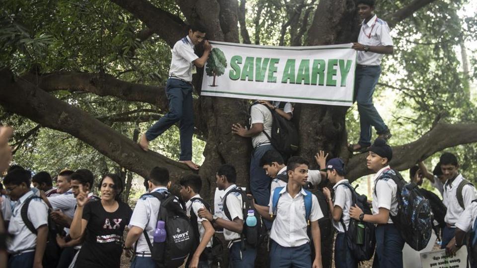 Supreme Court Bench Led By Justice Chandrachud To Hear Plea Against Aarey Tree Felling