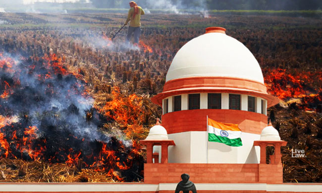 Stubble Burning: Centre To Place Ordinance On Stubble Burning Before Supreme Court Next Week