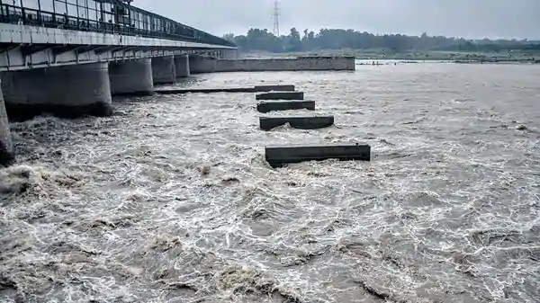 National Green Tribunal Gives No Objection For Installation Of LightHouse Near Yamuna’s FloodPlain In Delhi