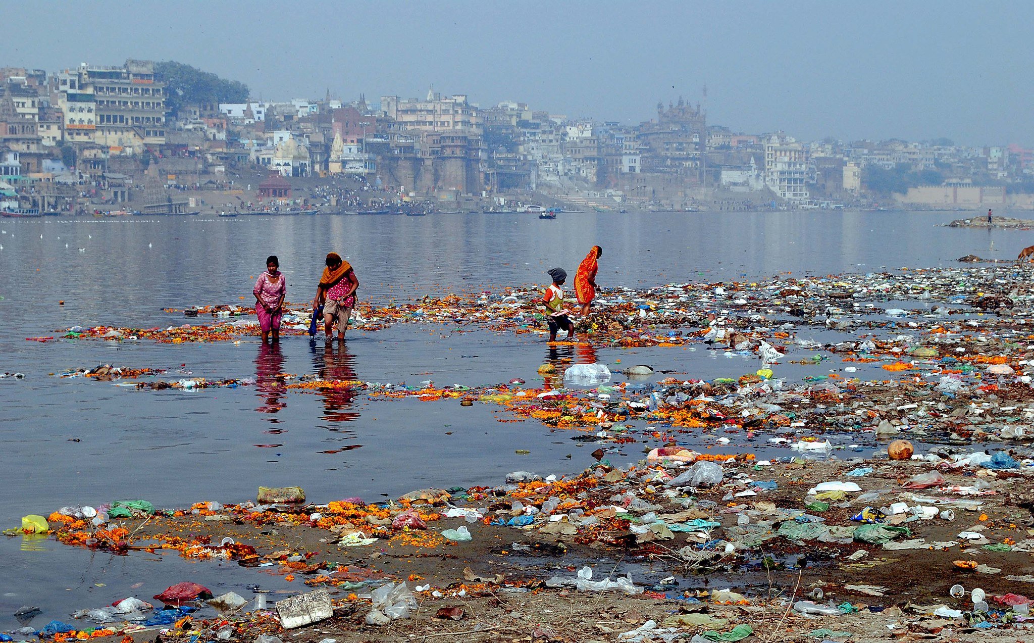  Pollution Of Ganga Tributaries In Varanasi NGT Constitutes 