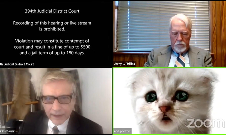 Lawyer tells judge 'I'm not a cat' after a Zoom filter mishap in virtual  court hearing