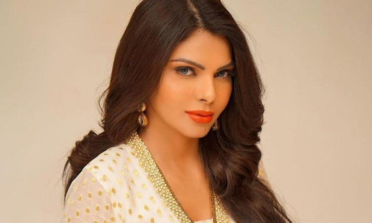 Jaklin Kii Xxxx Videos Dawnlods - Supreme Court Grants Protection From Arrest To Sherlyn Chopra In Porn Videos  Case