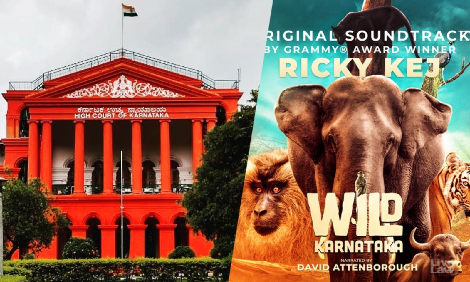 Wild karnataka amazon discount prime