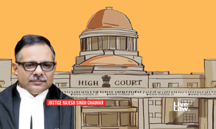 Allahabad High Court Quashes Criminal Cases Against CFO, CEO & MD, And ...