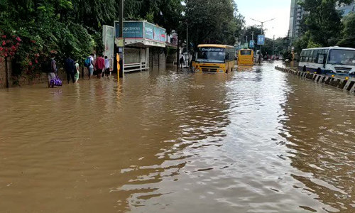 Read all Latest Updates on and about Pollution of Banglore City Lakes