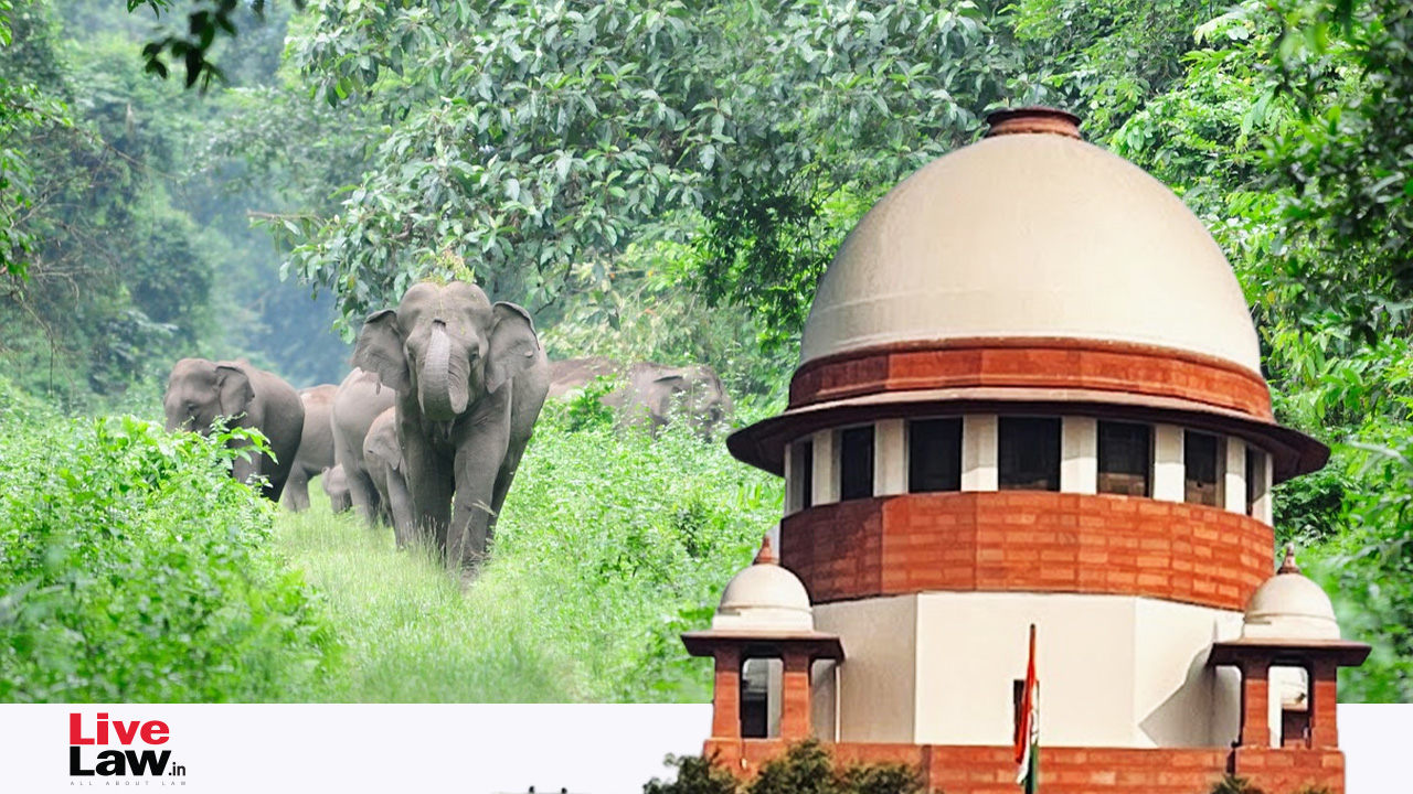 'Local Issues Best Dealt With By High Courts': Supreme Court Remarks On Plea Concerning Captive Elephants In Kerala