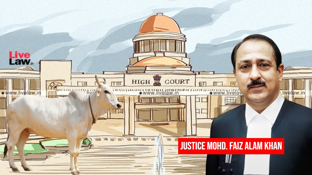 'Cow Slaughter Law' Misused; IO Recovered Only Cow Dung From Spot: Allahabad HC Grants Relief To Accused, Says Fair Probe Not Done