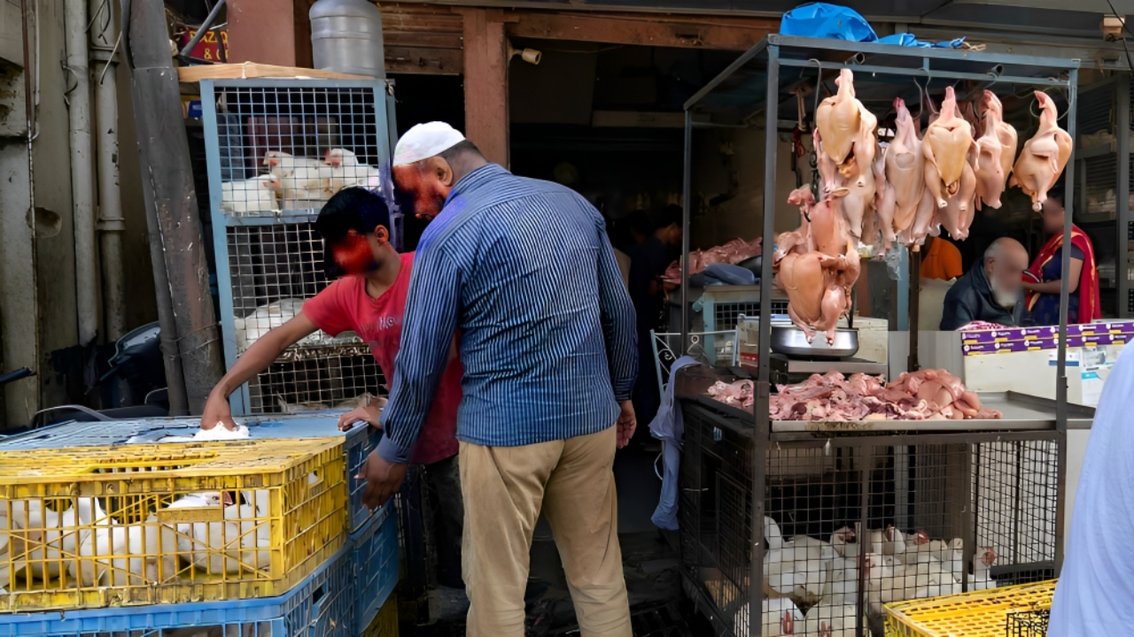 High Court Stays Haryana Govt Order Declaring Mansa Devi Temple Complex Area As ‘Holy’, Banning Sale Of Meat In Its Vicinity