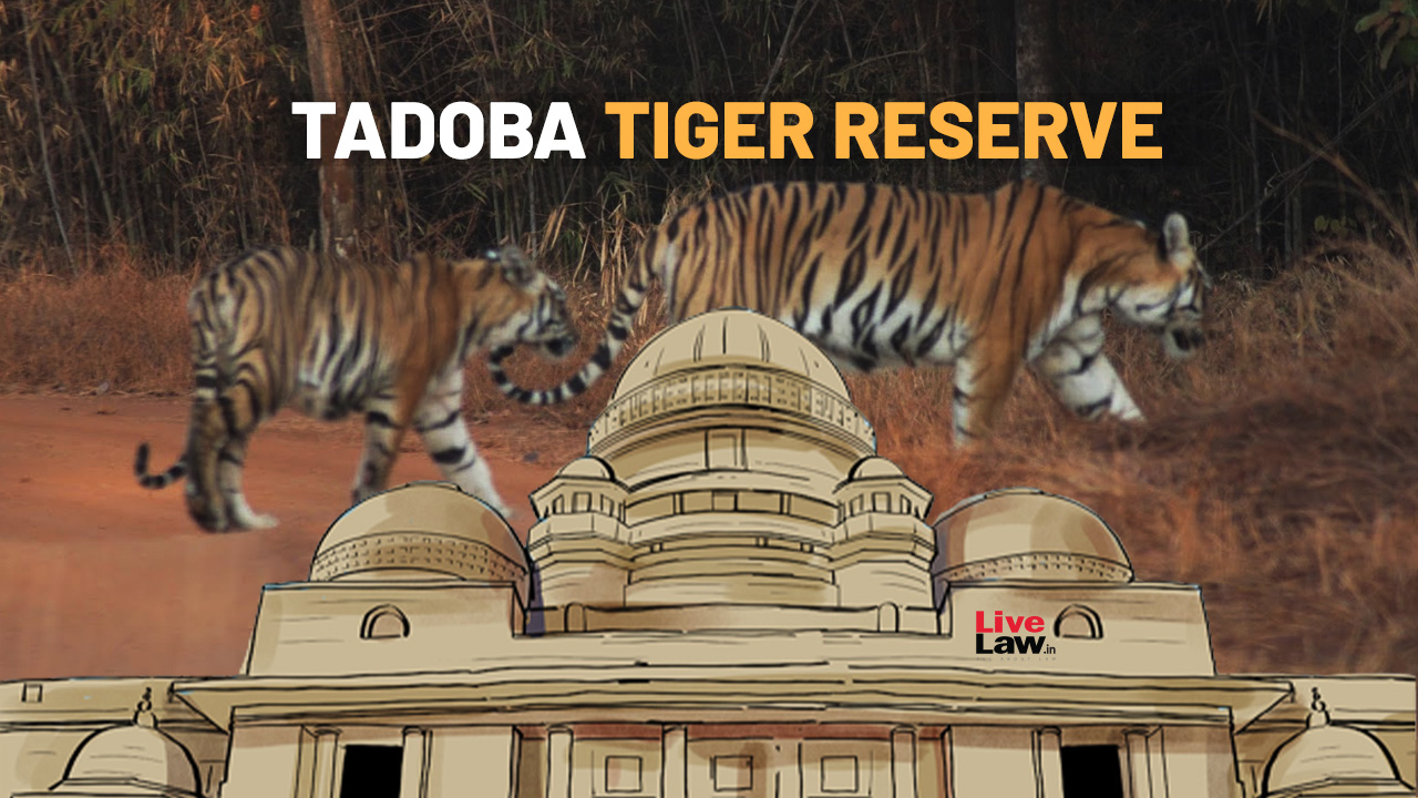 Prima Facie Forest Officials Want Tribal Near Tadoba Tiger Reserve Evicted Without Following Due Process: Bombay High Court