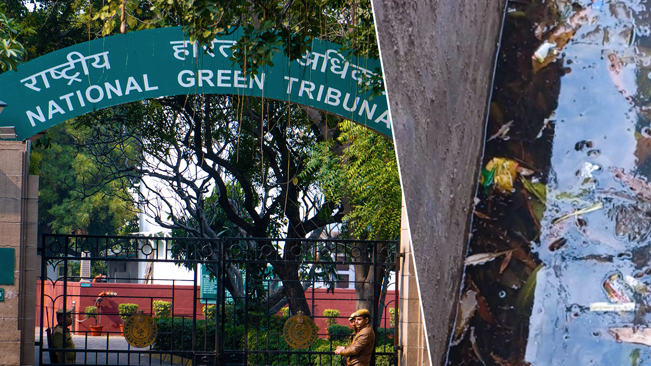 NGT Directs Joint Committee To Take Remedial Action Against Sewage Flow, Toxic Gases In Delhi’s Kaushal Drain