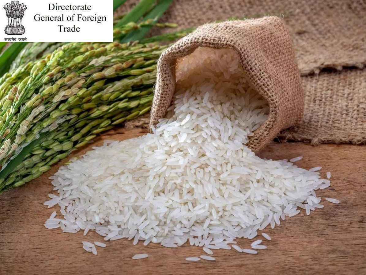 DGFT Notification Prohibiting Export Of Non-Basmati White Rice Can't Have Retrospective Effect: Andhra Pradesh High Court