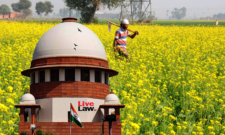 'Environmental Harm Can't Be Reversed' : Supreme Court Defers Centre's Plea For Release Of Genetically Modified Mustard Seeds