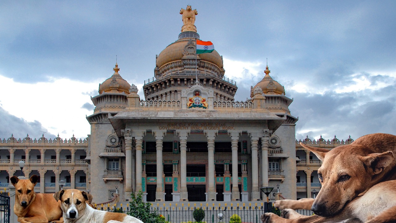 Karnataka High Court Disapproves Of Feeding Stray Dogs Near Vidhana Soudha Building, Says It May Lead To Health Hazards