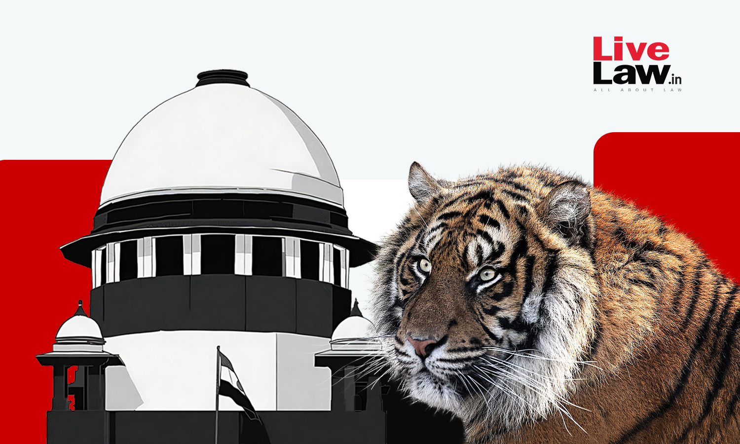 Supreme Court Constitutes Committee To Examine Issue Of Safaris In Tiger Reserves, Allows Existing Tiger Safaris To Continue