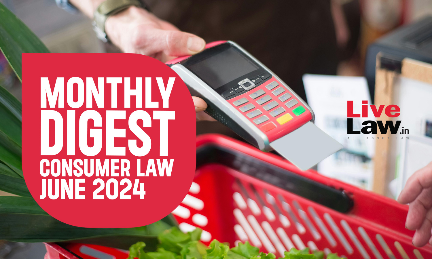 Consumer Cases Monthly Digest: June 2024