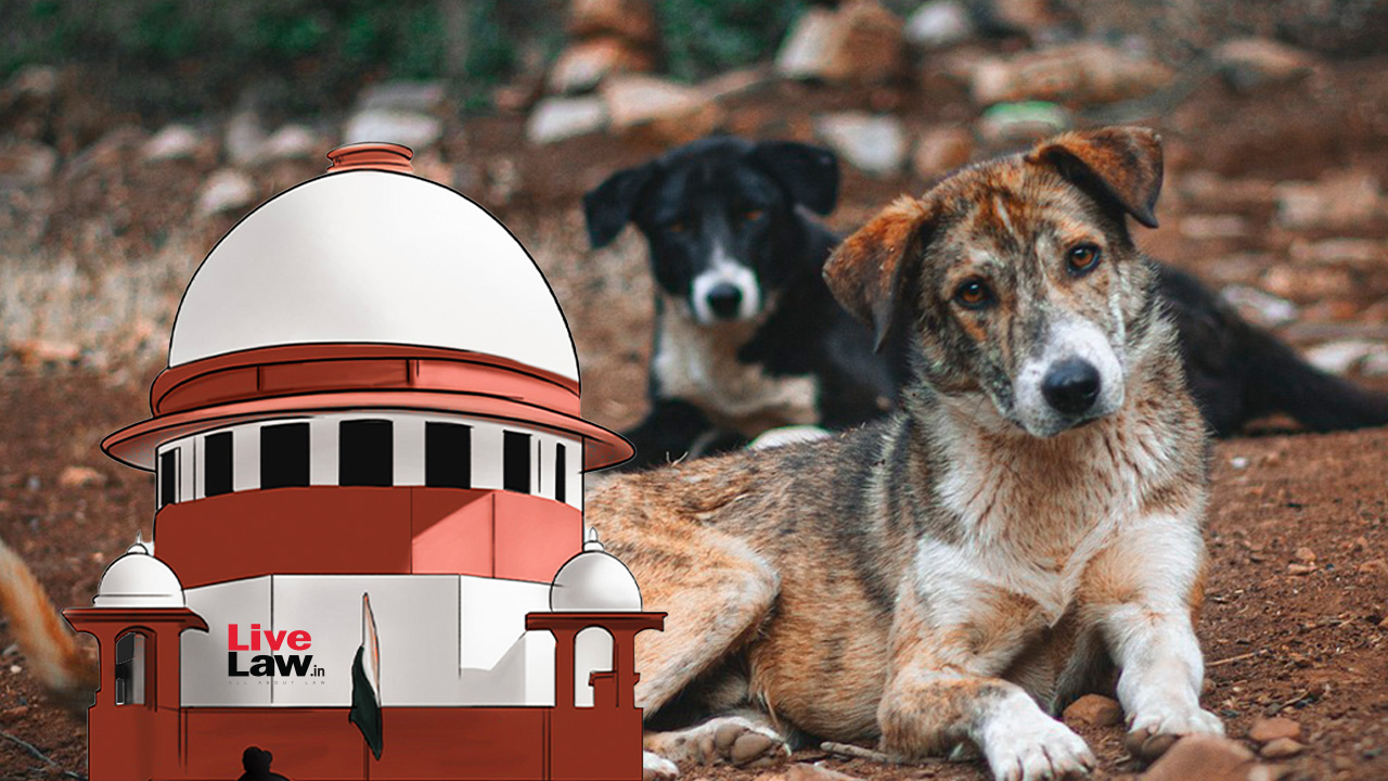 Supreme Court Refuses To Entertain PIL On Stray Dog Issue, Asks Petitioner To Move HC