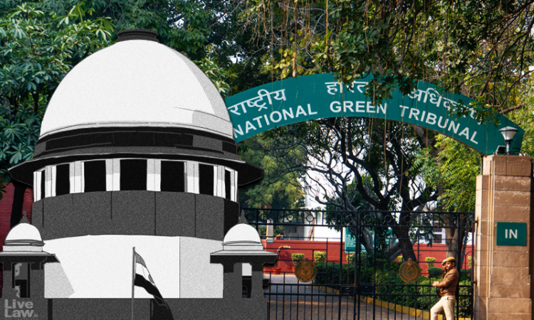 No Nexus Between Company's Revenue & Amount Of Penalty For Environmental Damages : Supreme Court Disapproves NGT's Approach