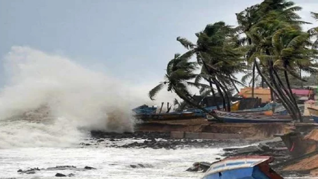 Cyclone Dana: Orissa High Court Asks Cuttack Authorities To Remove Bamboo Structures, Hoardings; Flags 'Artificial Scarcity' Of Commodities