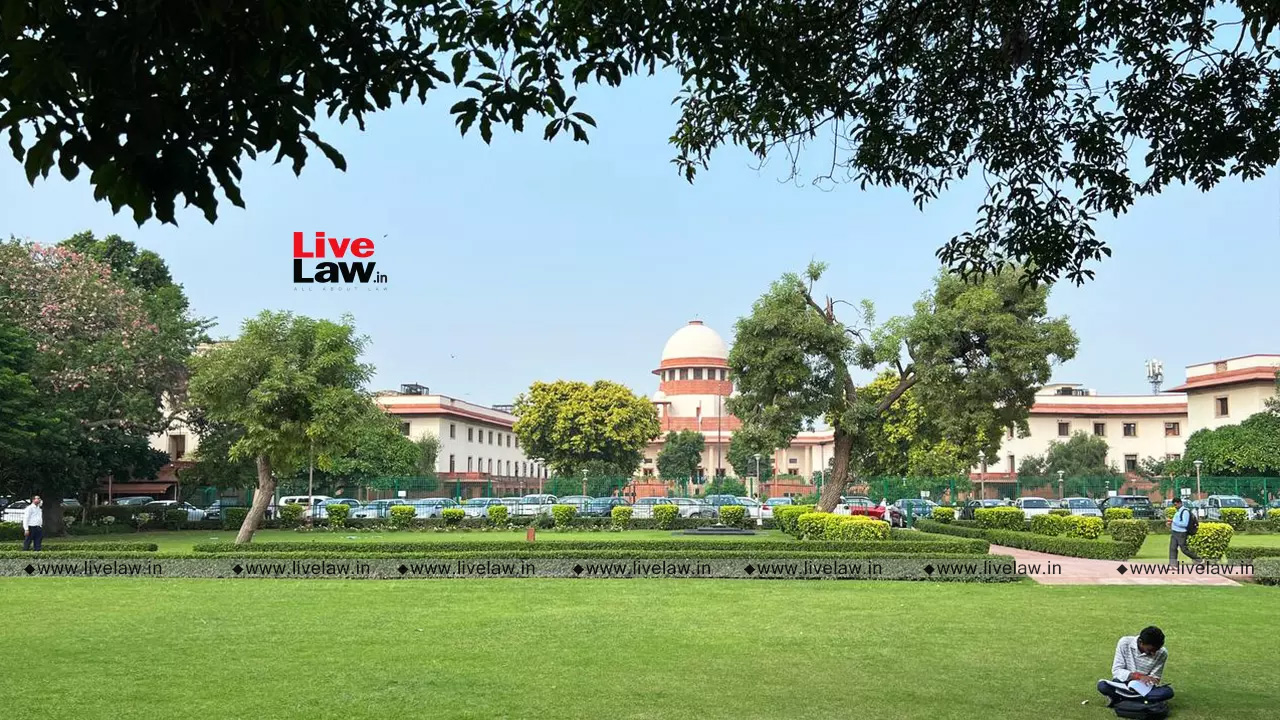 Supreme Court Questions Feasibility Of Directing Establishment Of Separate Cycle Tracks All Over India