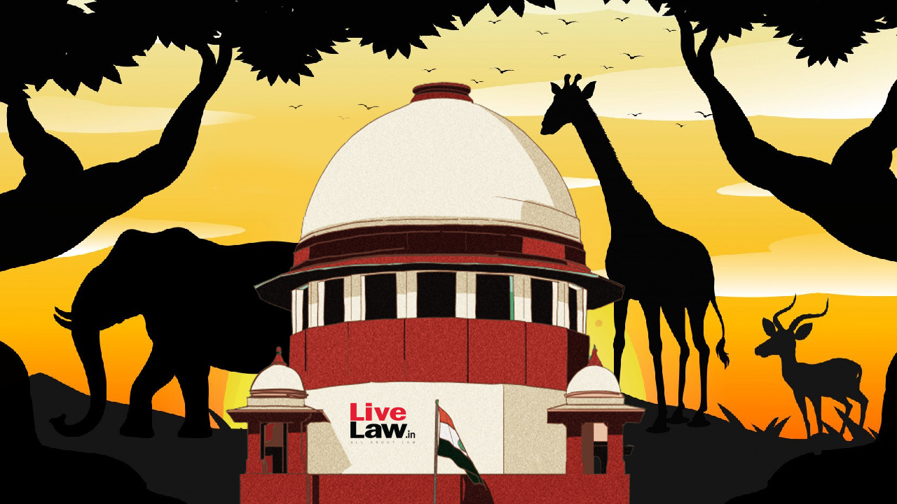 National Wildlife Board Not Holding Annual Sittings, Powers Delegated To Standing Committee : Centre Tells Supreme Court