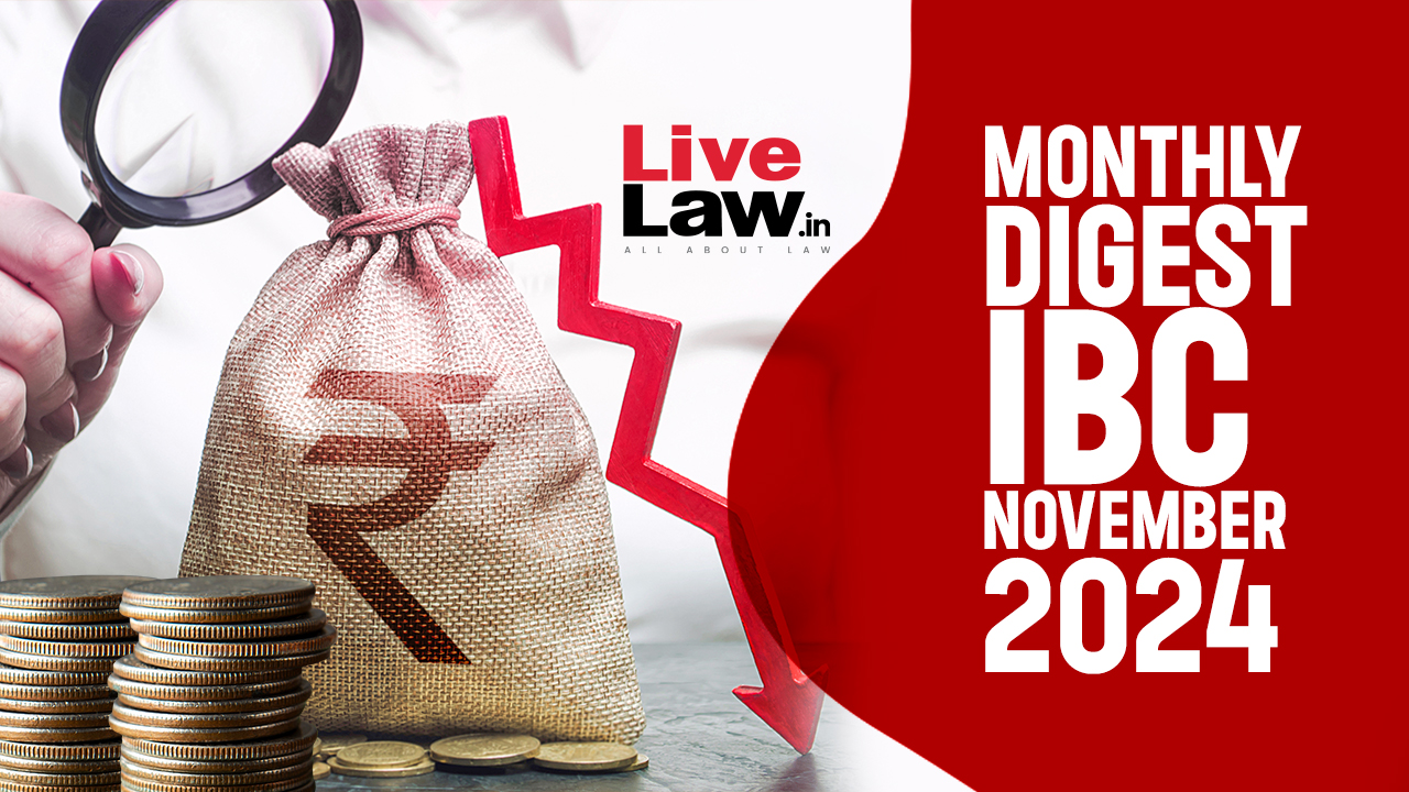 IBC Monthly Digest: November 2024