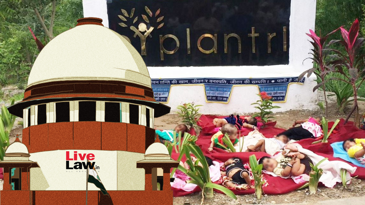 Supreme Court Issues Directions To Protect 'Sacred Groves', Lauds Rajasthan's Piplantri Village Initiative To Plant 111 Trees For Every Girl Child Born